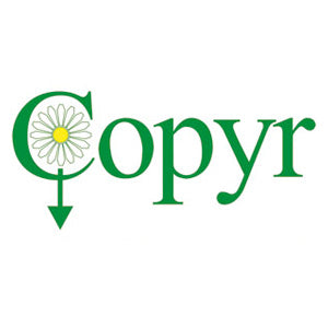 Copyr Air Stiks Secrets Deodorante 65 Nl