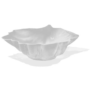 Royale Conchiglia Tropicale Cm 28 Bianca