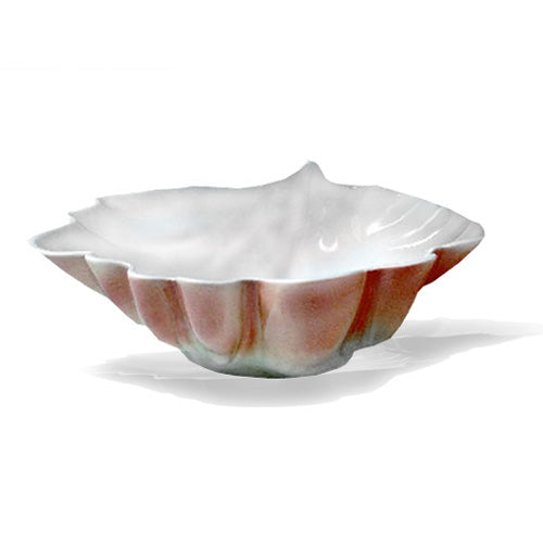 Royale Conchiglia Tropicale Cm 33 Royale