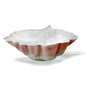 Royale Conchiglia Tropicale Cm 43 Royale