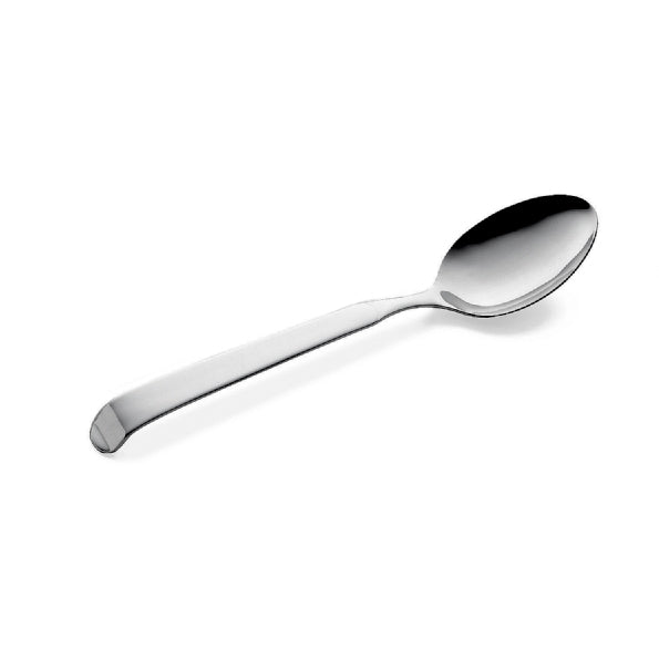 Pintinox Cucchiaione Astra Cm 20