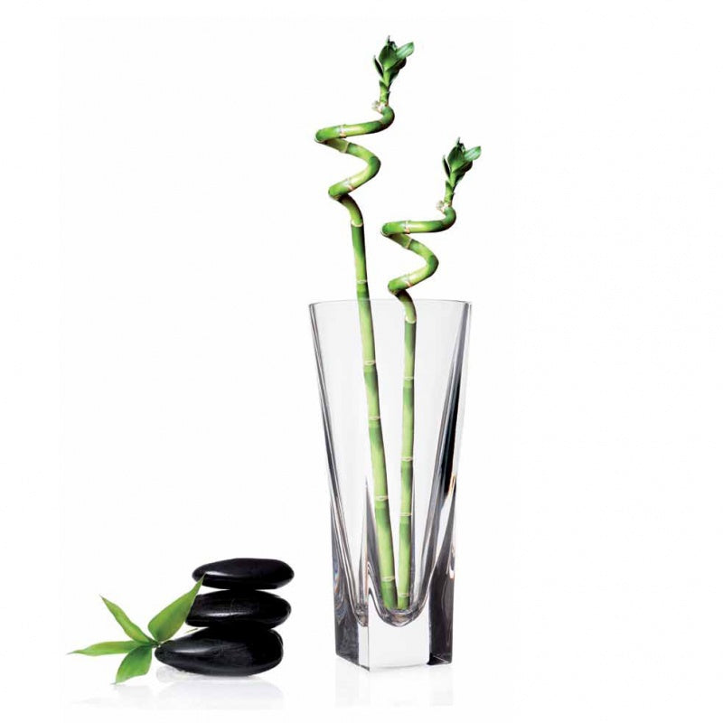 Rcr Cristalleria Italiana Fusion Vaso 250 Crystal Glass