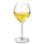 Arcoroc Grands Cepages Calice Degustazione Vino Bianco 47 Cl