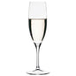F&D Primeur Calice Flute Champagne 19 Cl