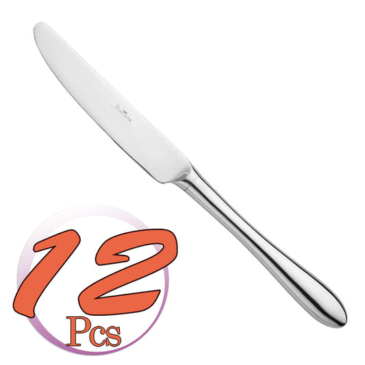 Pintinox Pinti 12 Coltelli Tavola Manico Vuoto Ritz