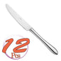 Pintinox Pinti 12 Coltelli Tavola Manico Vuoto Ritz