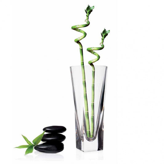 Rcr Cristalleria Italiana Vaso 300 Crystal Glass